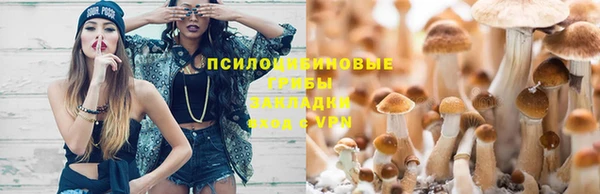 гашик Беломорск
