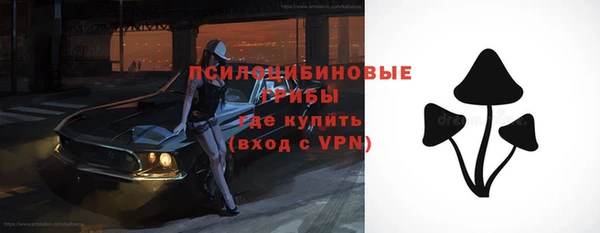 соль курить ск Белокуриха