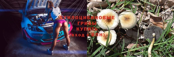 гашик Беломорск
