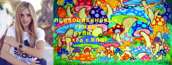гашик Беломорск