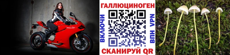 Псилоцибиновые грибы GOLDEN TEACHER Пыть-Ях